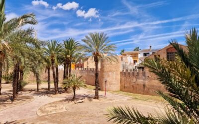 Alzira acollirà la Trobada de Centres en Valencià 2026